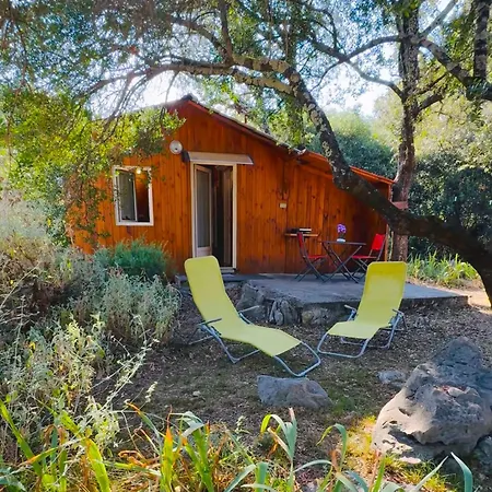 De Plos Saint Jean du Pin