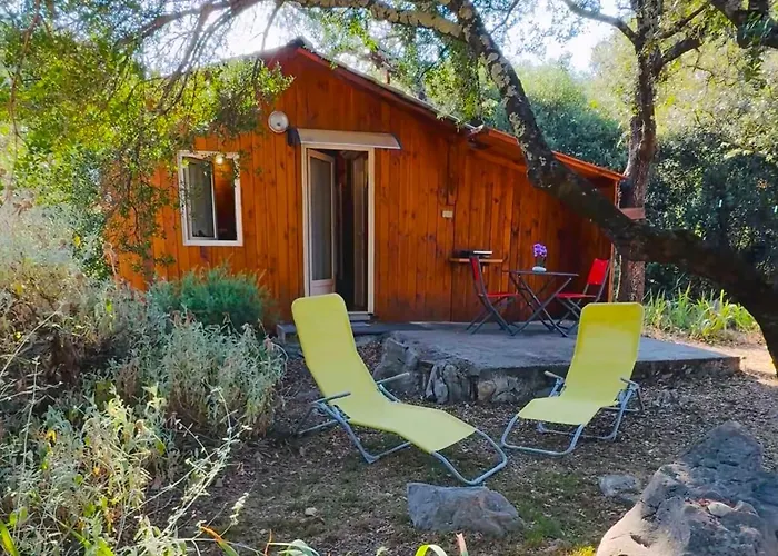 De Plos Saint Jean du Pin